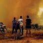 fire_orpa