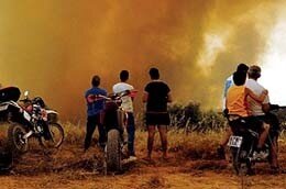fire_orpa