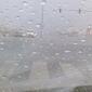10192_muscat