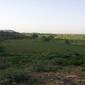 11347_TuepfB