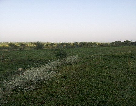 qI7lkg