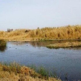 39214_srhan