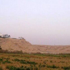 70875_hnef