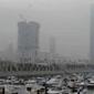 11451_618521
