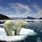 glaciers