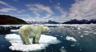 glaciers