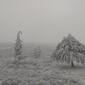 11473_coold