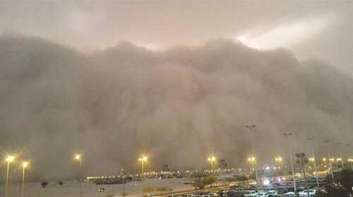 Org__-_Qu65