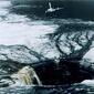 1186_sinkhole