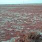 1_29_11_resize