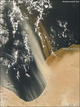 libya_tmo_2007299