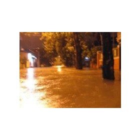 nuoclut