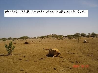ali2004-1194006368