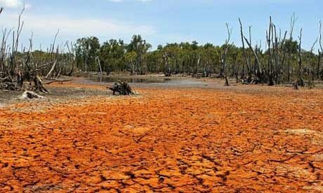 drought460x276