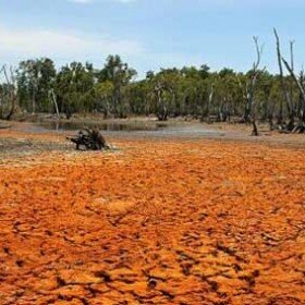 drought460x276