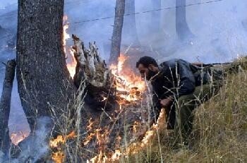 061107wildfire1