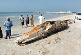 hot2.uae