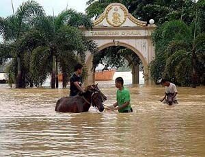 n_p1floods