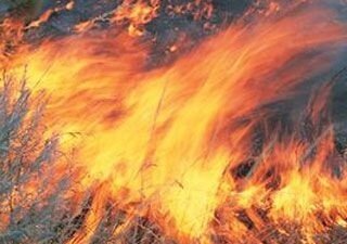 F_0_bushfire