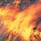 1994_F_0_bushfire