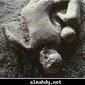 t65_pompeibody1