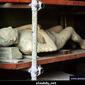 t69_pompeiitalie81