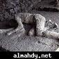 t67_Pompeidead1sml