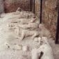 i36_Pompeii02