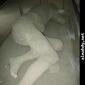 t5_224922Pompei11