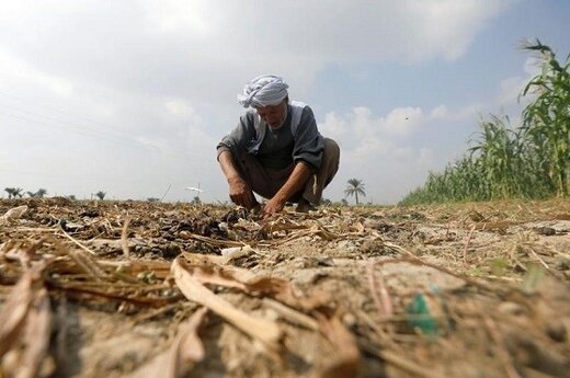s2.reutersmedia.net (2)