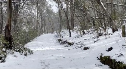 snowrare