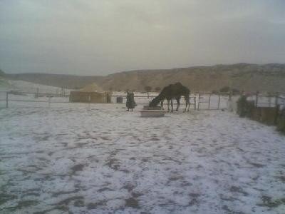 HOTH1