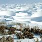 snow