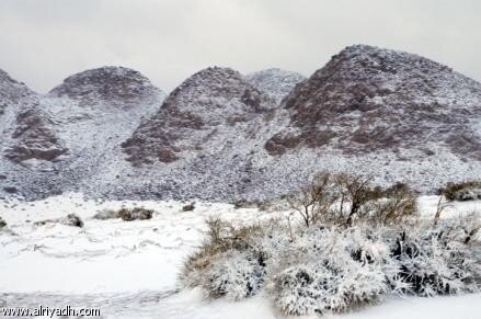 snow3