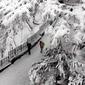 8-feb-snowfall-04