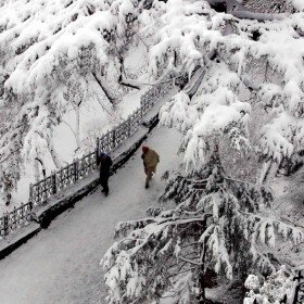 8-feb-snowfall-04