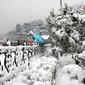 8-feb-snowfall-07