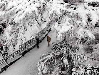 8-feb-snowfall-04