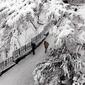 2304_8febsnowfall04