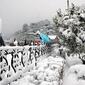 8-feb-snowfall-07