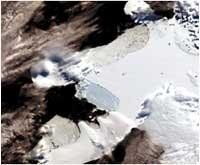 ice