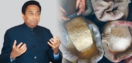 rice