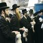 2790_rabbisJPG