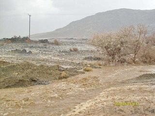 balad_12a