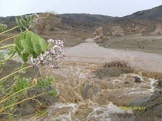 balad_13a