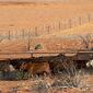 anna-creek-404_677853c