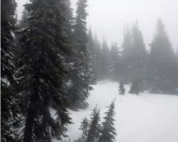 snow_washington