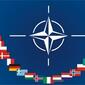 3484_nato