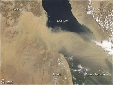redsea_amo_2008186