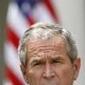 3578_bush